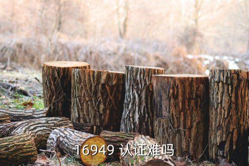16949 认证难吗