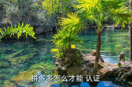 拼多多怎么才能 认证