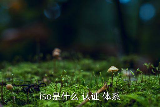 iso是什么 认证 体系