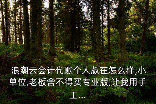  浪潮云会计代账个人版在怎么样,小单位,老板舍不得买专业版,让我用手工...