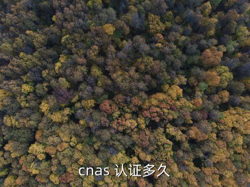 cnas 认证多久