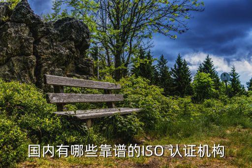 国内有哪些靠谱的ISO 认证机构