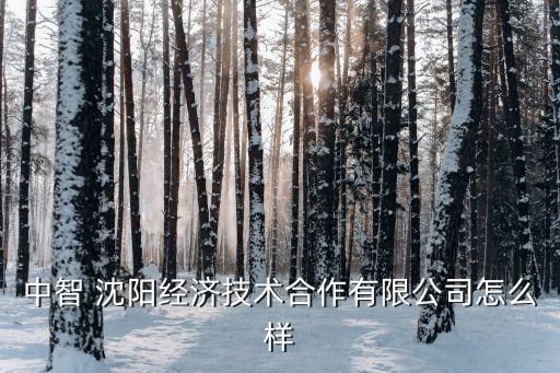 沈阳统一企业认证,仁和企业统一认证平台登录