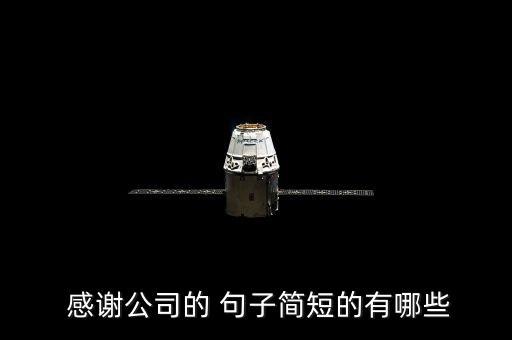  感谢公司的 句子简短的有哪些