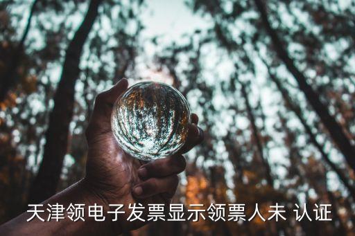  天津领电子发票显示领票人未 认证