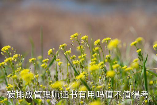 碳排放管理师证书有用吗值不值得考
