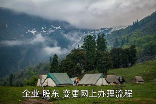 企业股东变更实名认证app,公司注销股东实名认证怎么做