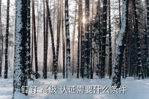 钉钉 高级 认证需要什么条件