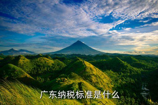 企业认证需要交税吗广东,淘宝认证企业店铺 需要交税吗