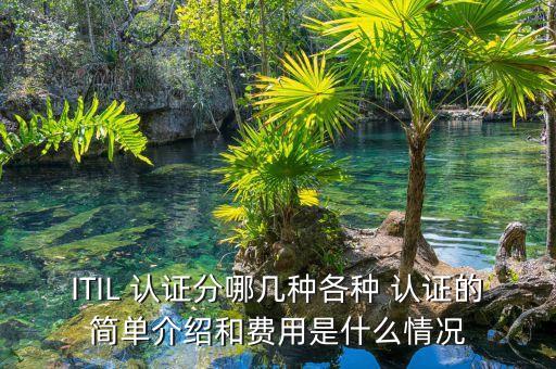 企业认证多少种,微博企业认证费用多少钱