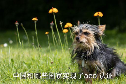 中国和哪些国家实现了aeo 认证
