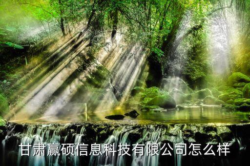 甘肃赢硕信息科技有限公司怎么样
