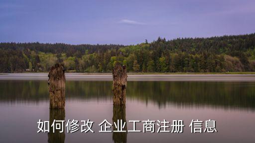 如何修改 企业工商注册 信息