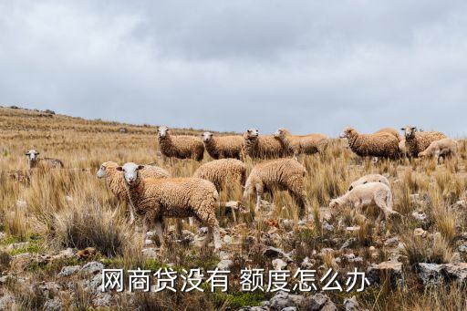 网商贷认证企业没额度了,网商银行企业认证