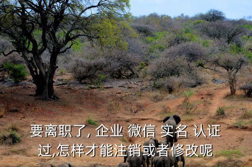 企业微信的实名认证错了