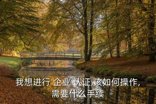 我想进行 企业 认证,该如何操作,需要什么手续