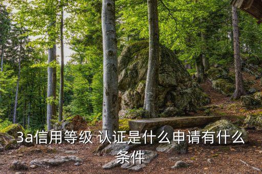 3a信用等级 认证是什么申请有什么条件