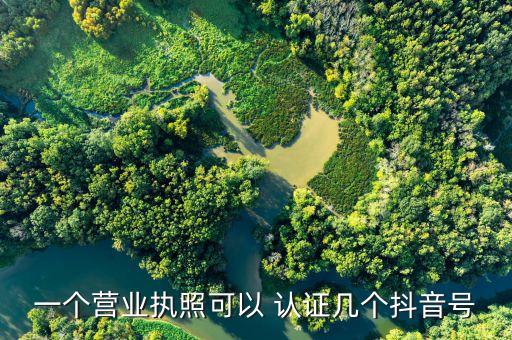 一个营业执照可以 认证几个抖音号