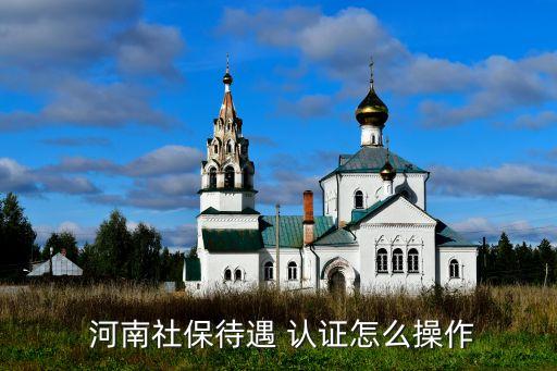  河南社保待遇 认证怎么操作