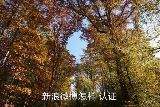 新浪微博怎样 认证