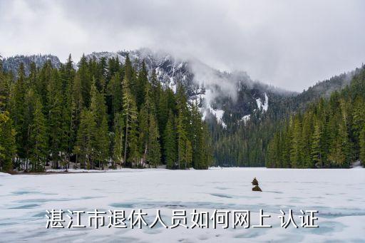 湛江市退休人员如何网上 认证