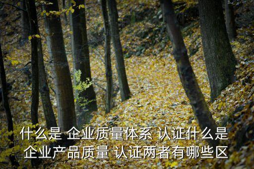企业特色认证是什么,企业认证电话号码是什么