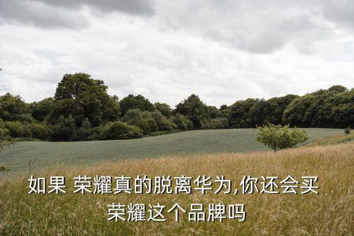 荣耀进入国企手机企业认证