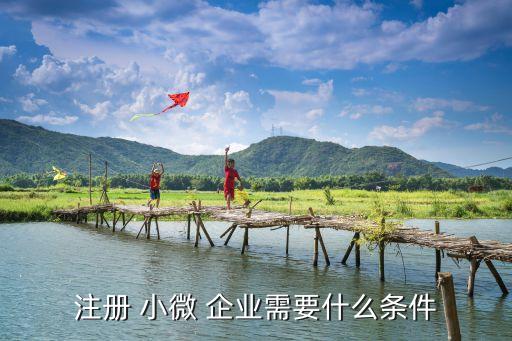 注册 小微 企业需要什么条件