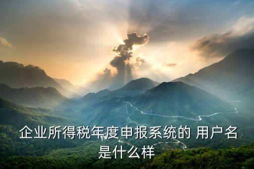  企业所得税年度申报系统的 用户名是什么样