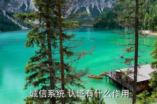  诚信系统 认证有什么作用