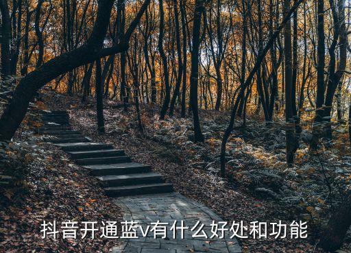 抖音开通蓝v有什么好处和功能