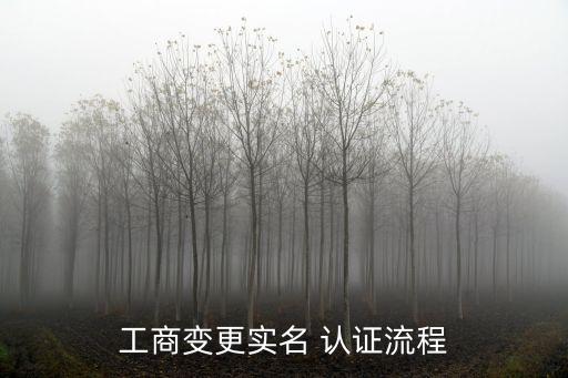工商变更实名 认证流程