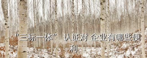 “三标一体” 认证对 企业有哪些便利