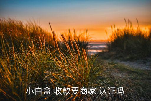 企业收款认证什么意思,收款网点什么意思