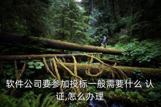 湖南双软企业认证资料