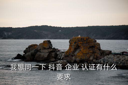 我想问一下 抖音 企业 认证有什么要求