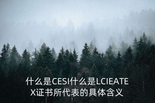 什么是CESI什么是LCIEATEX证书所代表的具体含义