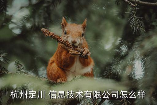浙江信息技术认证企业,信息技术2.0微能力认证怎么通过