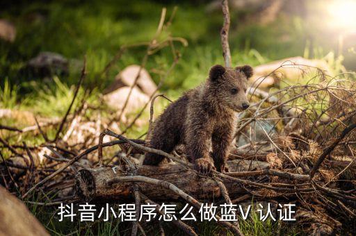 抖音小程序怎么做蓝V 认证