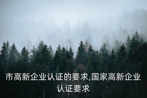 沈阳市高新企业认证的要求,国家高新企业认证要求
