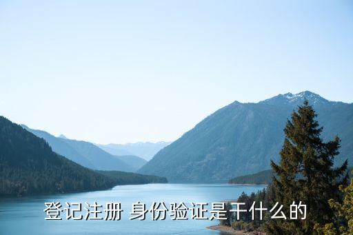 cnpp企业身份认证系统