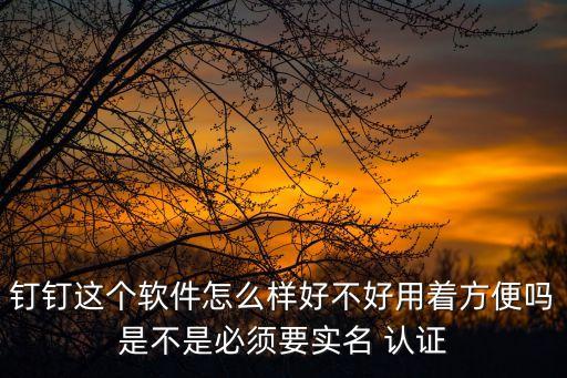 企业使用钉钉需要认证吗