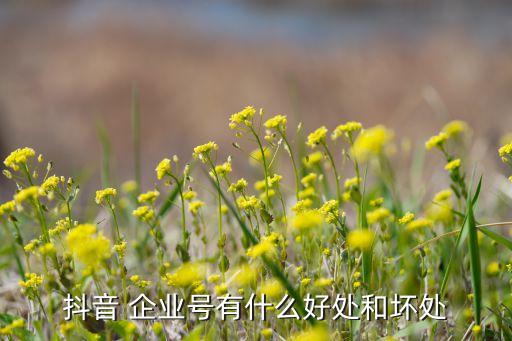 禁止推广企业号认证暂停