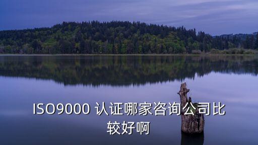 ISO9000 认证哪家咨询公司比较好啊