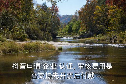 抖音申请 企业 认证, 审核费用是否支持先开票后付款