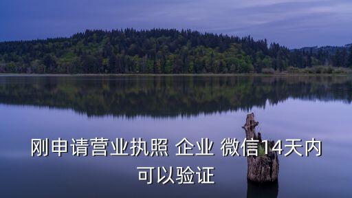 刚申请营业执照 企业 微信14天内可以验证