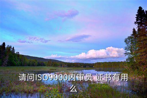 请问ISO9000内审员 证书有用么