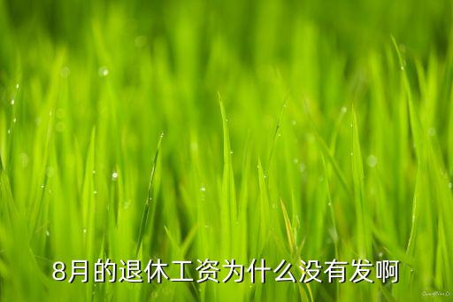 8月的退休工资为什么没有发啊