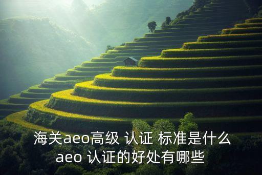  海关aeo高级 认证 标准是什么aeo 认证的好处有哪些