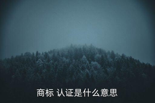 企业认证品牌是什么,企业3a认证是什么意思